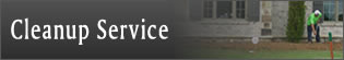 cleanup services