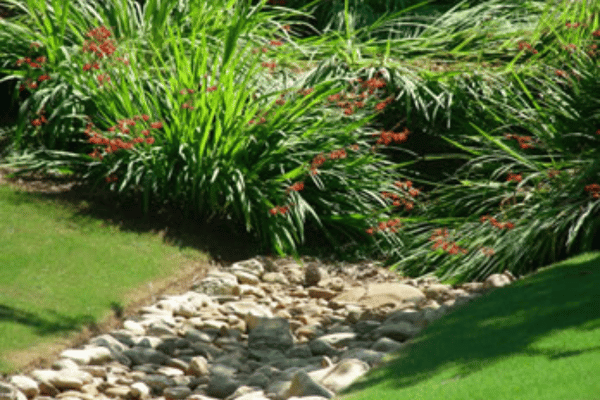 Drainage Solutions at Greenbriar Landscape Management