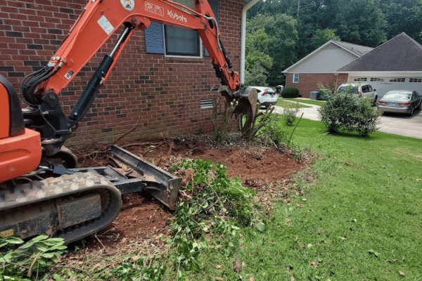 Yard Clean Up Services with Greenbriar Landscape Management in Athens, GA
