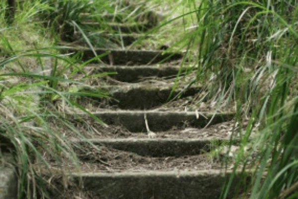 Yard Clean Up Services with Greenbriar Landscape Management in Athens, GA