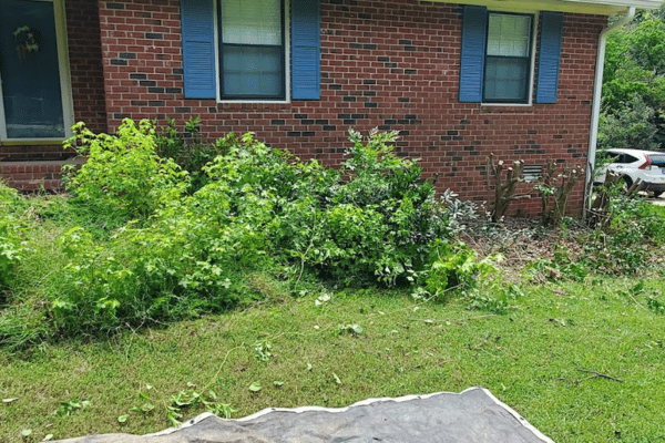 Yard Clean Up Services with Greenbriar Landscape Management in Athens, GA