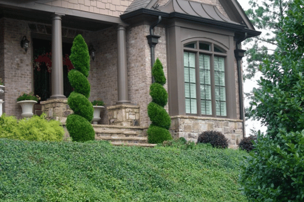 Containerscapes with Greenbriar Landscape Management in Athens, GA