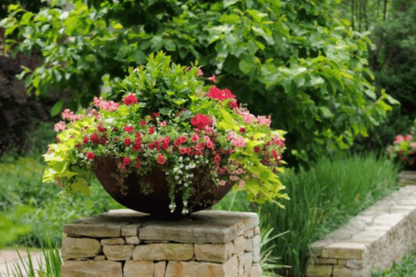 Containerscapes with Greenbriar Landscape Management in Athens, GA