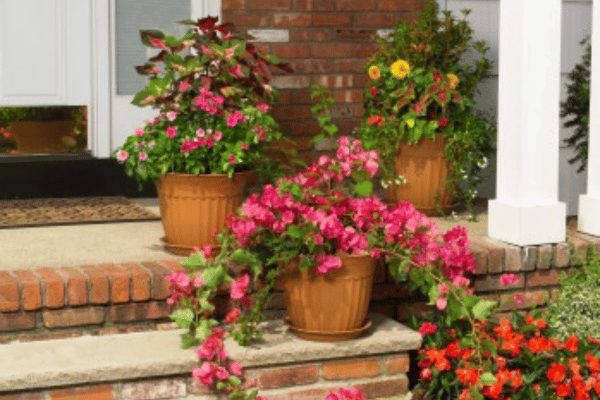 Containerscapes with Greenbriar Landscape Management in Athens, GA