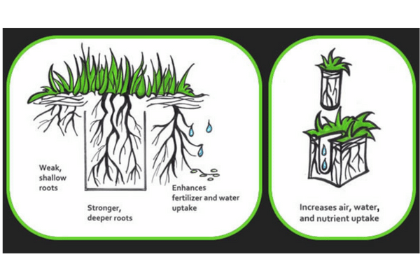 Core Aeration Services at Greenbriar Landscape Management in Athens, GA