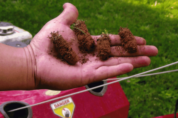 Core Aeration Services at Greenbriar Landscape Management in Athens, GA