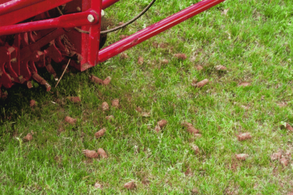 Core Aeration Services at Greenbriar Landscape Management in Athens, GA
