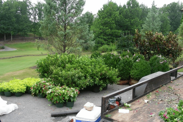 Custom Landscape Design Options with Greenbriar Landscape Management in Athens, GA