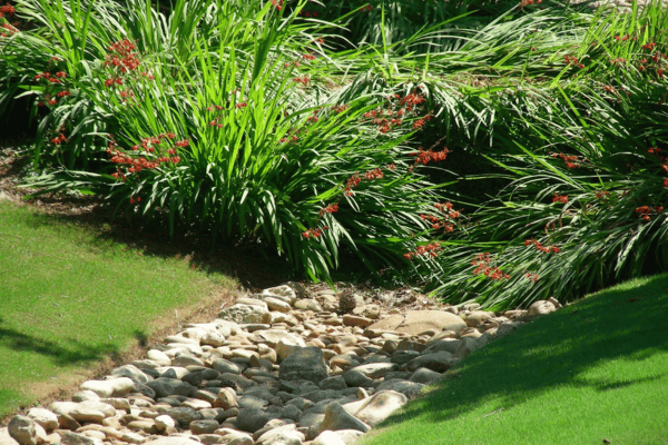 Drainage Solutions through Greenbriar Landscape Management in Athens, GA