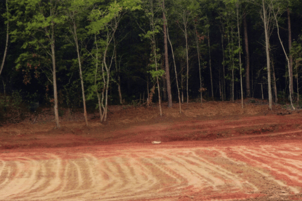 Grading & Site Prep Services with Greenbriar Landscape Management in Athens, GA