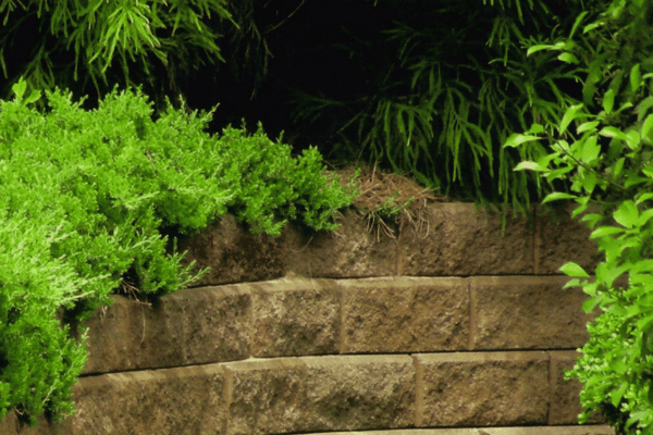 Hardscape Design Options with Greenbriar Landscape Management in Athens, GA
