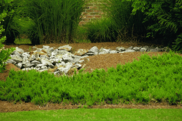 Hardscape Design Options with Greenbriar Landscape Management in Athens, GA