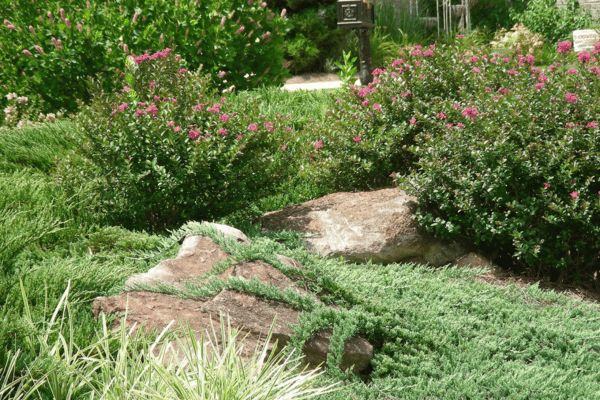 Hardscape Design Options with Greenbriar Landscape Management in Athens, GA