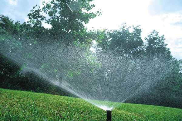 Irrigation Solutions with Greenbriar Landscape Management in Athens, GA