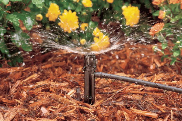 Irrigation Solutions with Greenbriar Landscape Management in Athens, GA