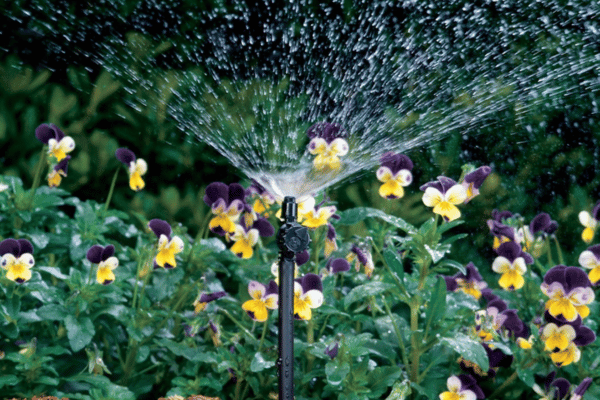 Irrigation Solutions with Greenbriar Landscape Management in Athens, GA