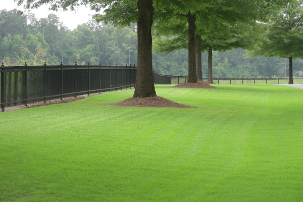 Pinestraw & Mulch Services at Greenbriar Landscape Management in Athens, GA