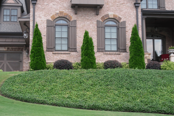 Lawn Maintenance with Greenbriar Landscape Management in Athens, GA