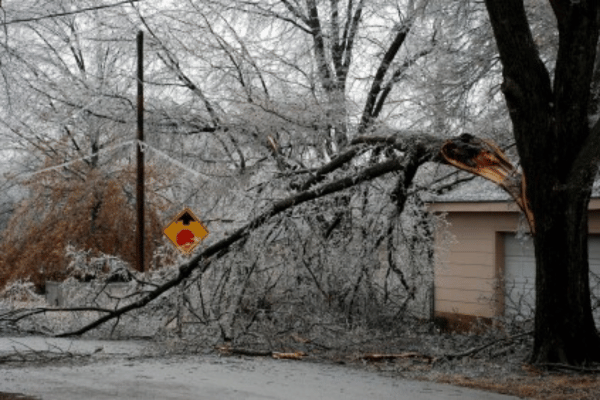 Storm Damage Clean Up Services with Greenbriar Landscape Management in Athens, GA