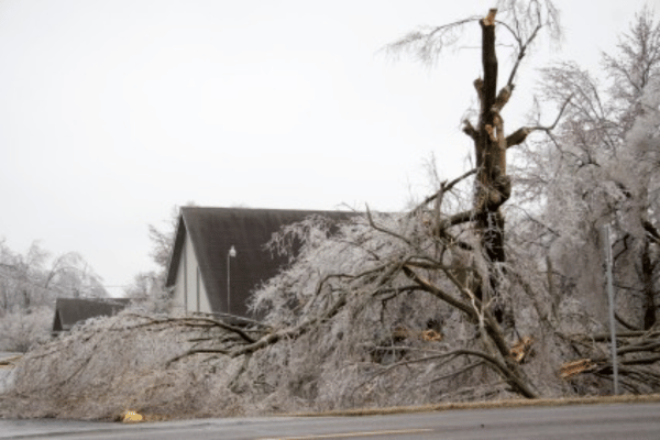 Storm Damage Clean Up Services with Greenbriar Landscape Management in Athens, GA
