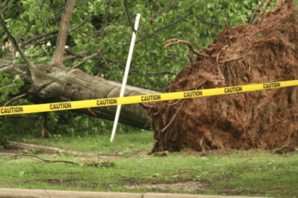 Storm Damage Clean Up Services with Greenbriar Landscape Management in Athens, GA