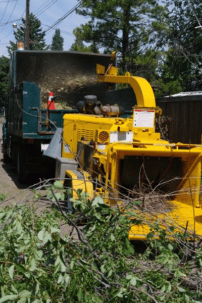 Tree Trimming & Removal at Greenbriar Landscape Management in Athens GA