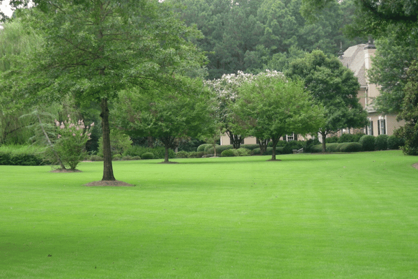 Turf Management with Greenbriar Landscape Management in Athens, GA