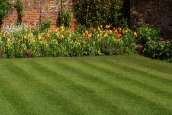 Turf Management with Greenbriar Landscape Management in Athens, GA