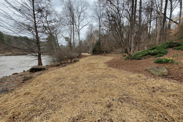 Turf Management with Greenbriar Landscape Management in Athens, GA