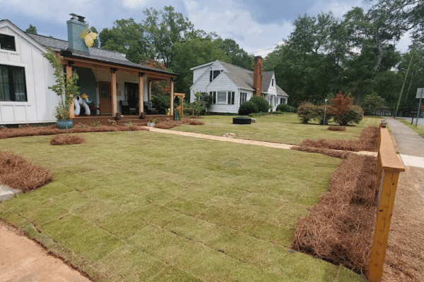 Turf Management with Greenbriar Landscape Management in Athens, GA