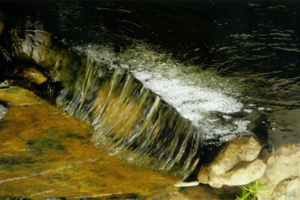 Waterscape Landscaping available at Greenbriar Landscape Management in the Greater Athens, GA Area.