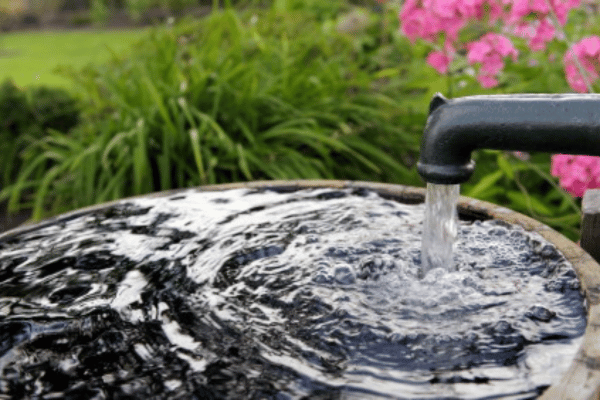 Waterscape Landscaping available at Greenbriar Landscape Management in the Greater Athens, GA Area.