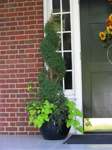 Containerscapes with Greenbriar Landscape Management in Athens, GA