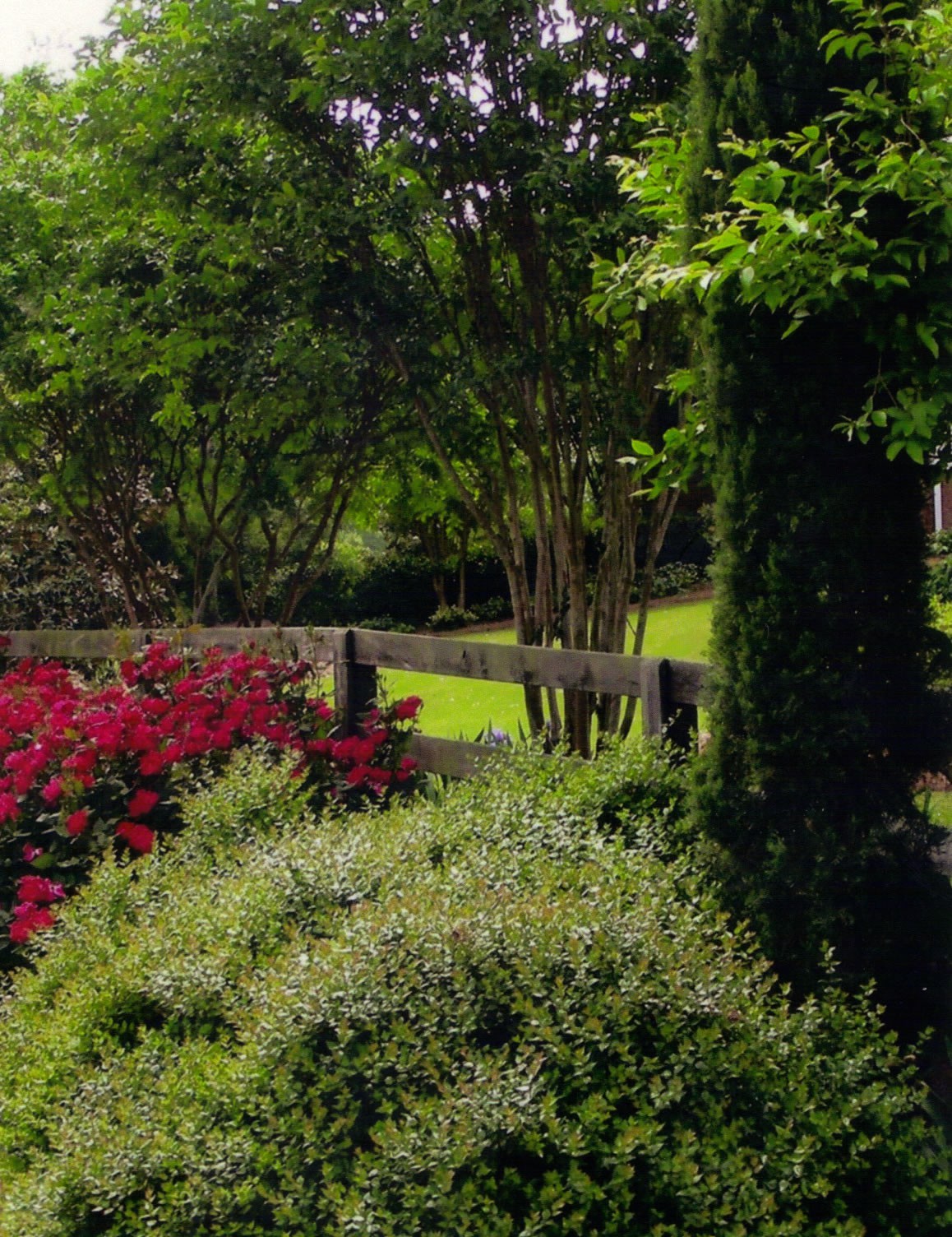 Lawn Maintenance with Greenbriar Landscape Management in Athens, GA