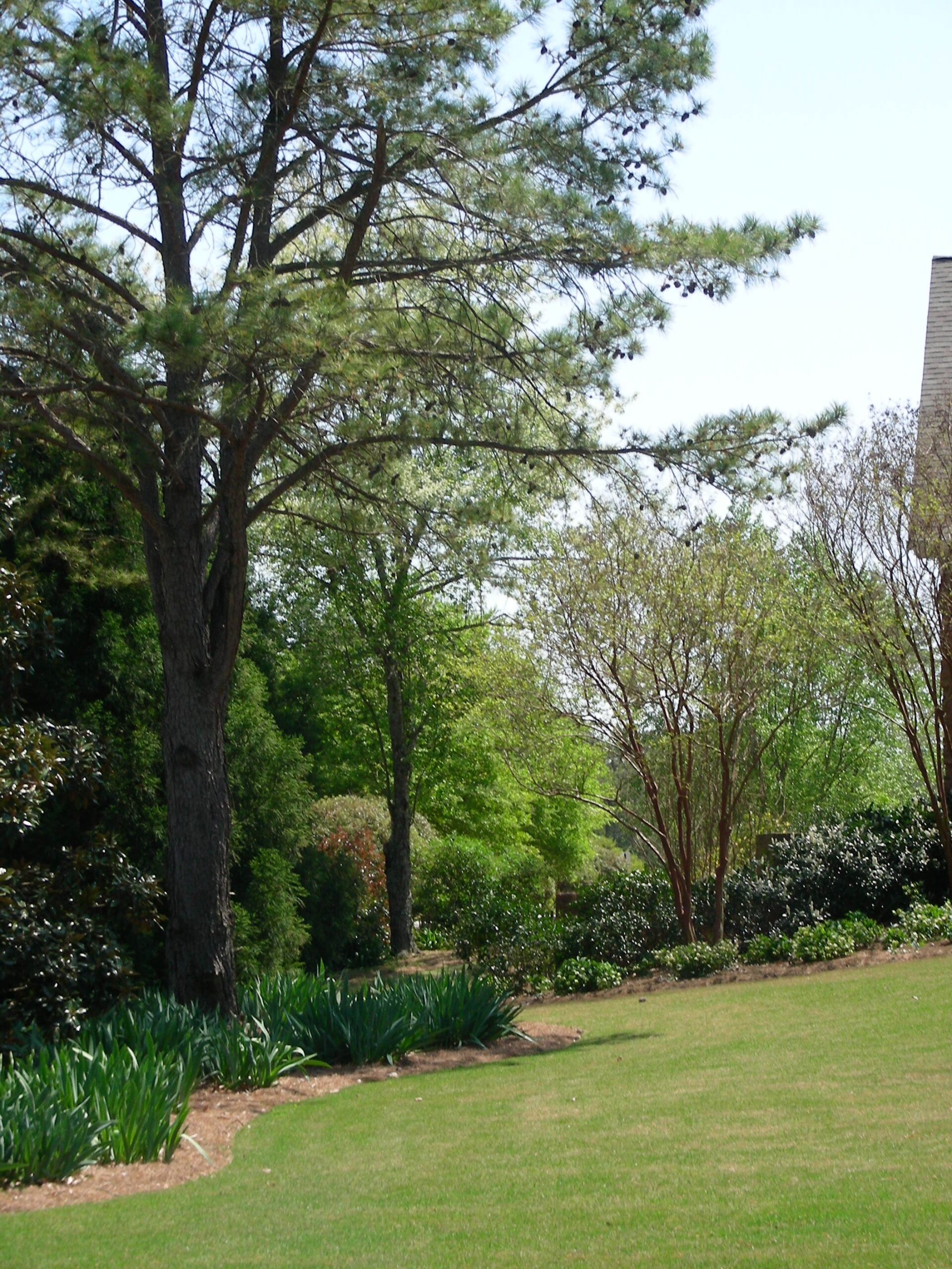 Lawn Maintenance with Greenbriar Landscape Management in Athens, GA