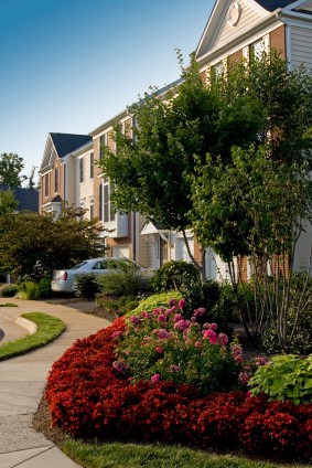 Landscape Design Services at Greenbriar Landscape Management in Athens, GA