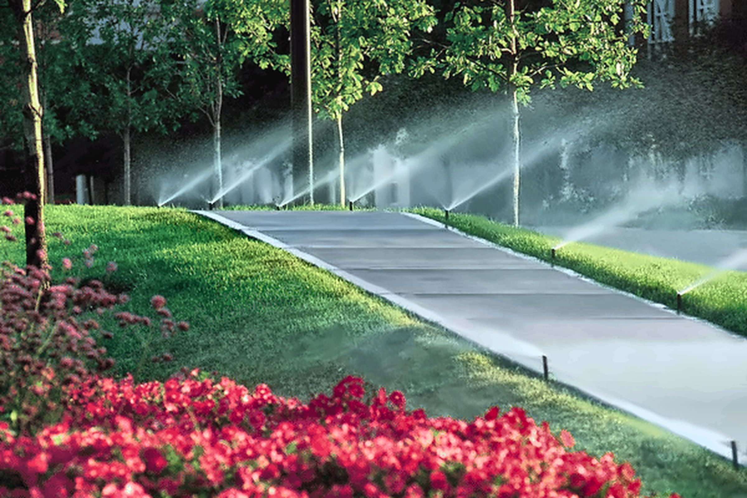 Irrigation-Systems_ENHANCED