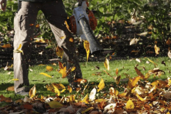 Cleanup Services with Greenbriar Landscape Management