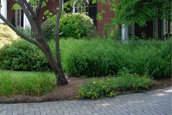 Landscape & Lawn Maintenance Services at Greenbriar Landscape Management in Athens, GA