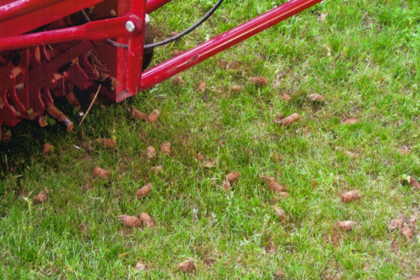 Core Aeration Services at Greenbriar Landscape Management in Athens, GA