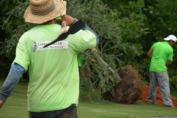 Yard Clean Up Services with Greenbriar Landscape Management in Athens, GA