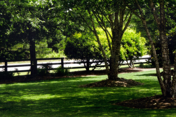 Mulch Services through Greenbriar Landscape Management in Athens, GA